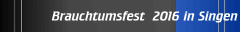 Silvester 2014 in Singen